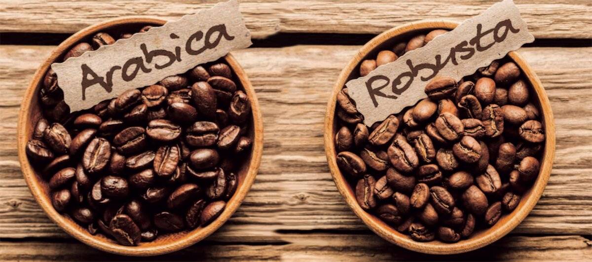 Как выбрать кофе из всего многообразия сортов?