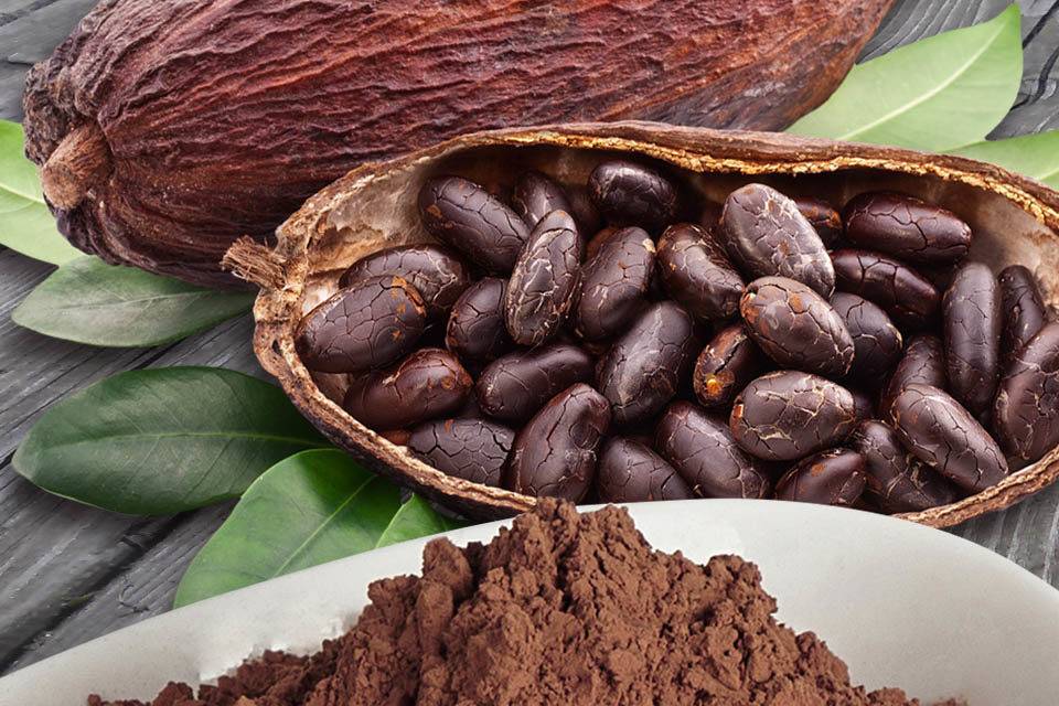 Алкализованный порошок какао