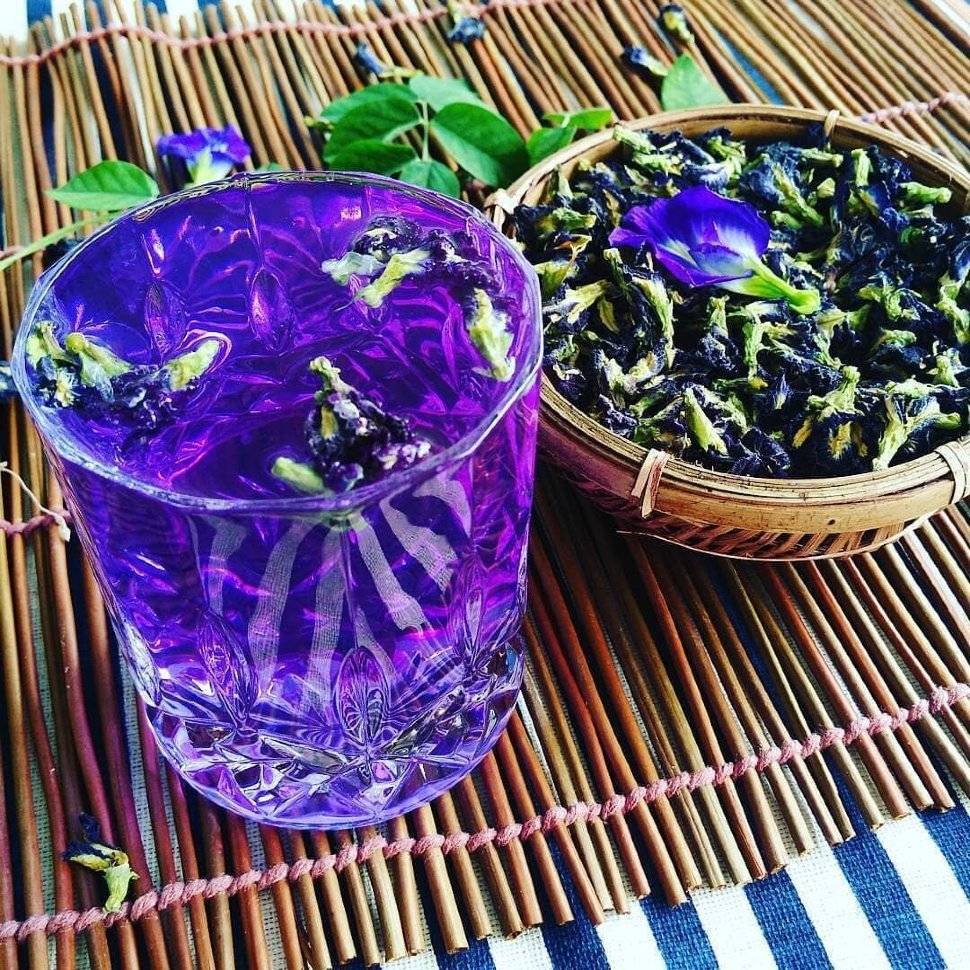 Необыкновенные свойства пурпурного чая