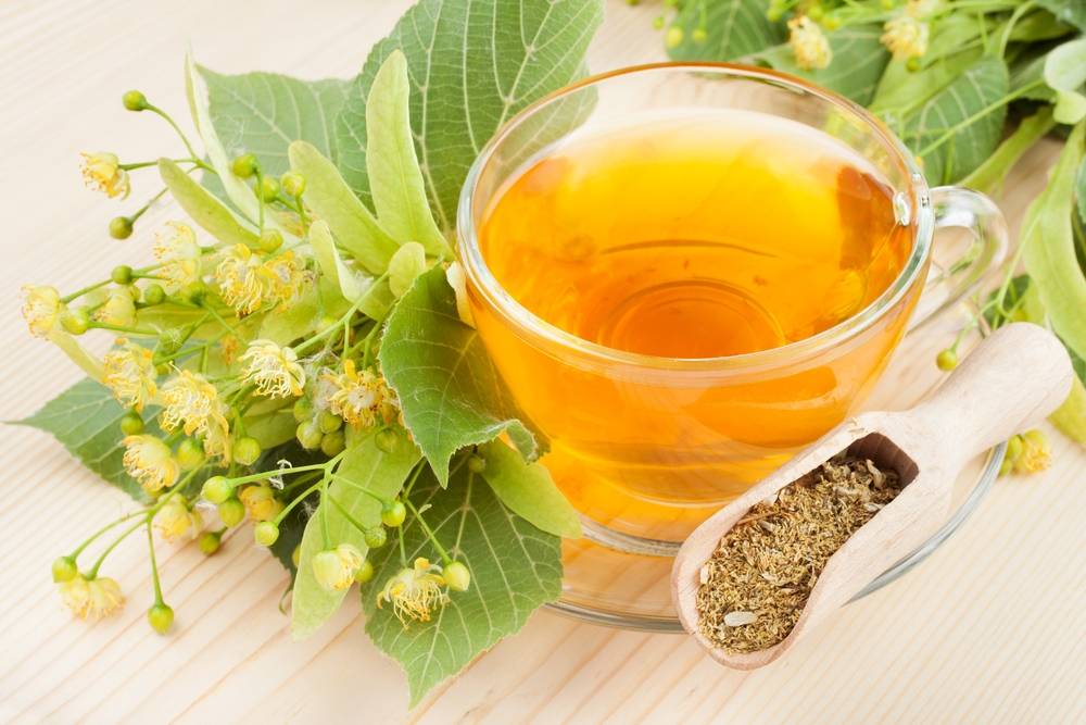 11 полезных для здоровья рецептов монастырского чая: состав, польза для организма, для похудения, от бессонницы, от паразитов, для очищения, от варикоза, для улучшения зрения, для укрепления иммунитета, для печени, сердца