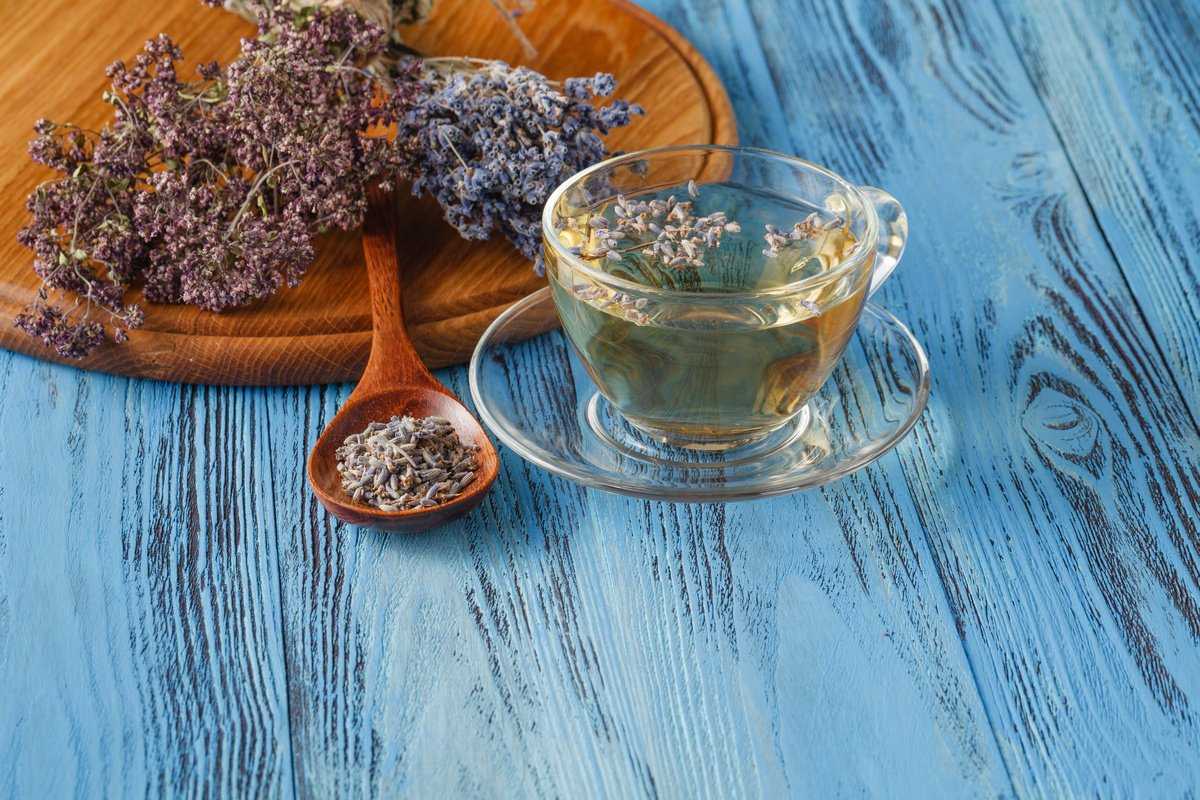 Чай с лавандой и его полезные свойства, рецепты