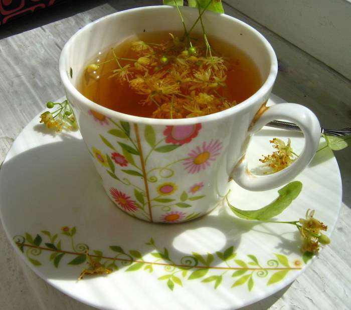 Липовый чай: полезные свойства, противопоказания, польза и вред