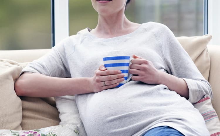 Можно ли чабрец при беременности и как его правильно употреблять на разных сроках