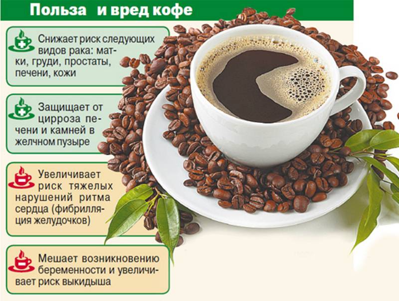 Кофе при диете: можно ли пить этот напиток с молоком или в чистом виде при похудении