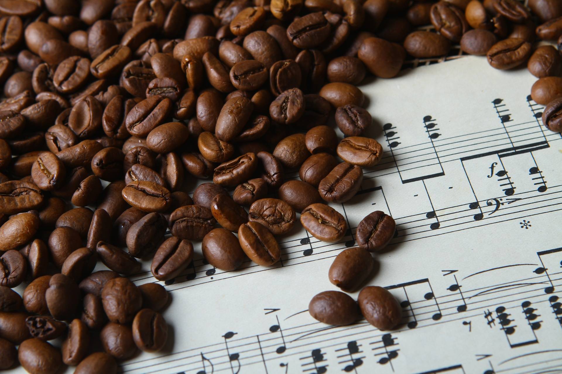 Популярные сорта кофе в индии