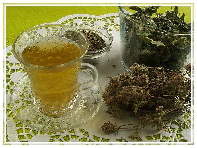 Чай с чабрецом: польза и вред, 7 рецептов и противопоказания