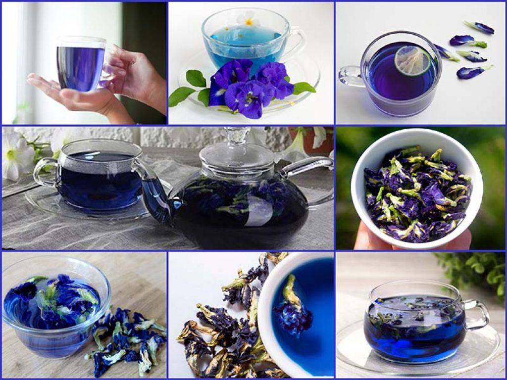 Чанг шу: пурпурный чай для похудения