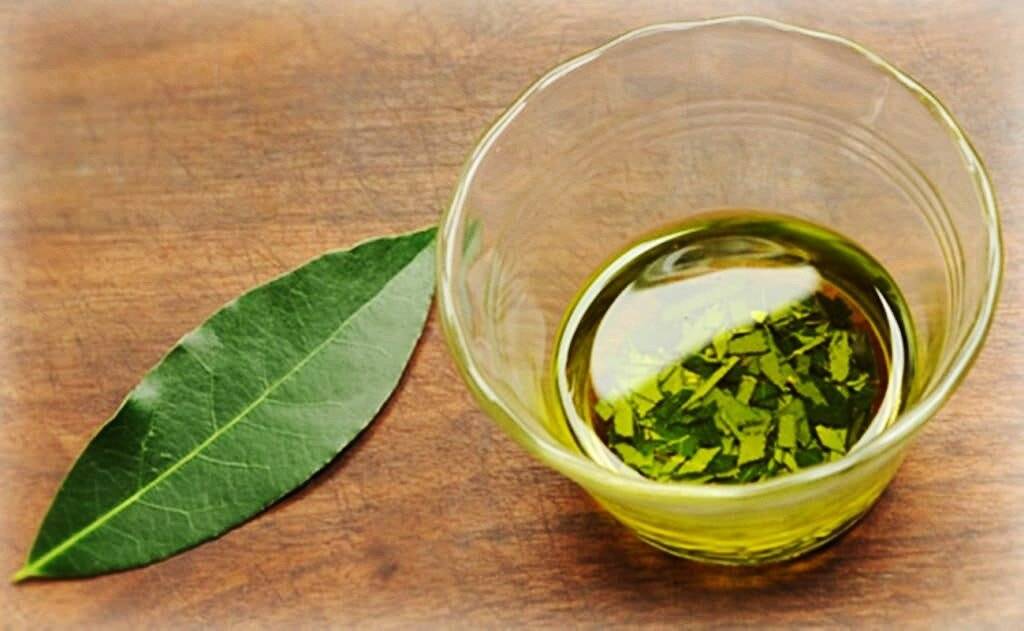 Чай из листьев папайи: полезные свойства, вред, приготовление напитка