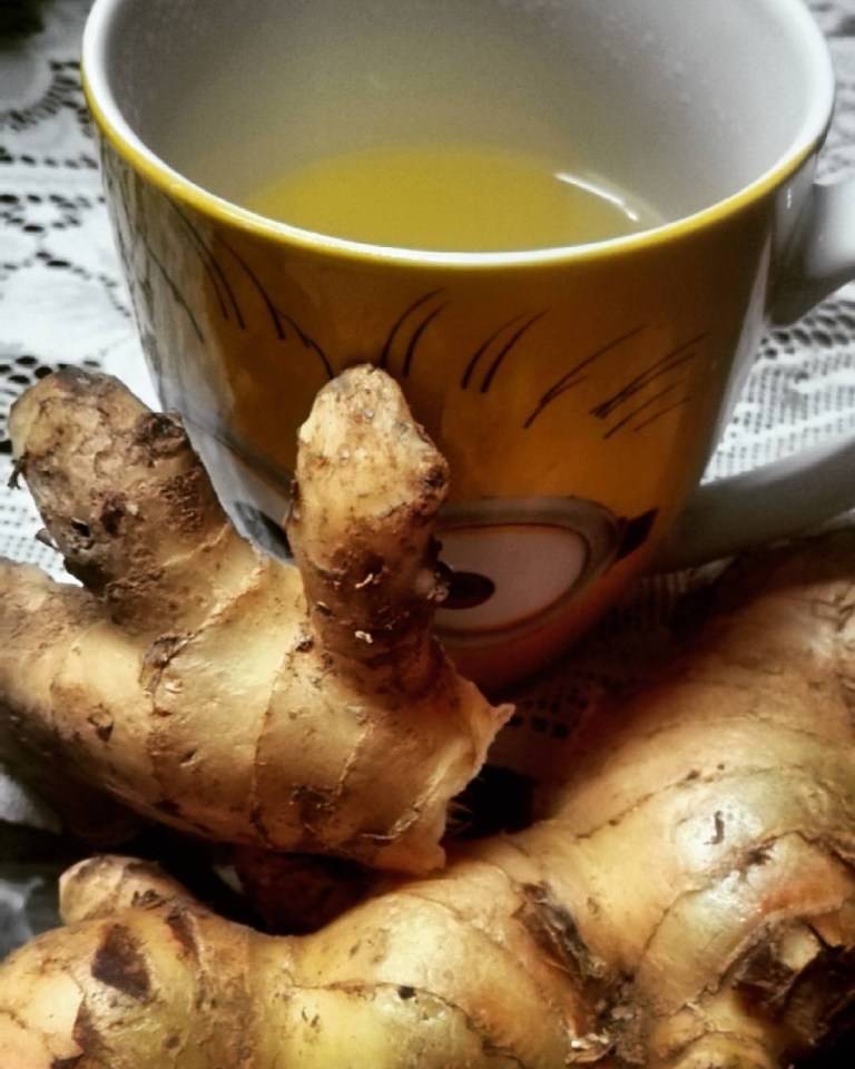 Чай из ферментированных листьев топинамбура: оригинальное и эффективное лечебное средство