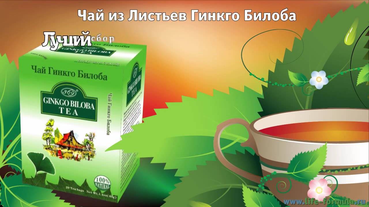 Чай из гинкго билоба: как заваривать, свойства, рецепты - чайгик
