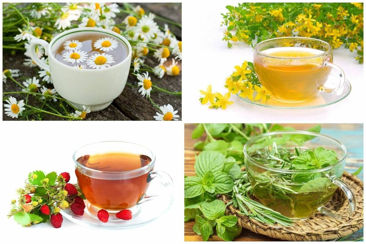 Травяные чаи для похудения: рецепты чудодейственных отваров