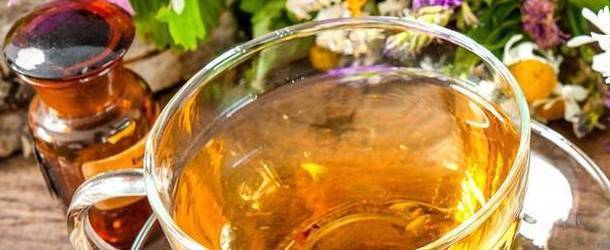Липовый чай полезные свойства липового чая