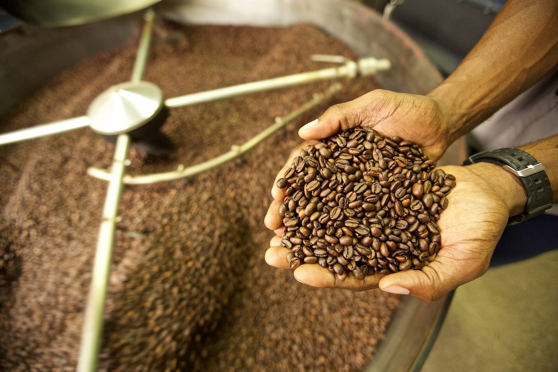 Выбираем кофе в зернах: какой лучше и в чем отличия