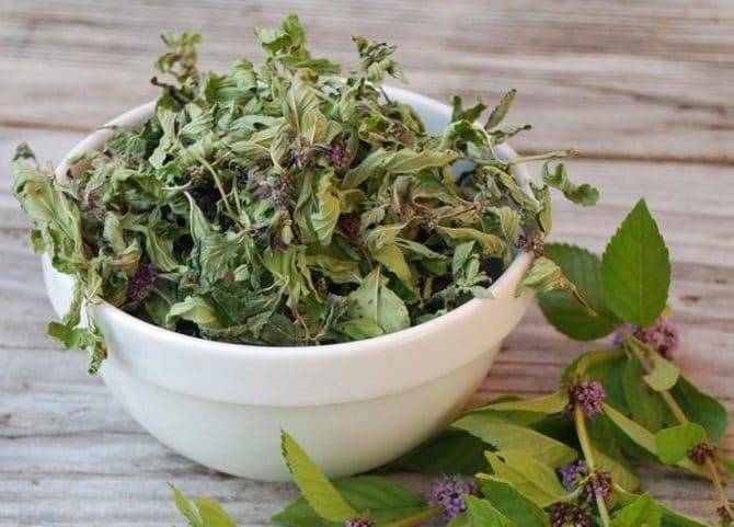 Чай из листьев растений: сбор, сушка, рецепт приготовления