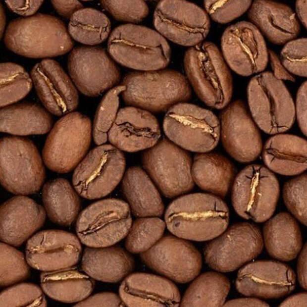 ﻿Кофе испортился? Советы по поддержанию свежести кофейных зерен