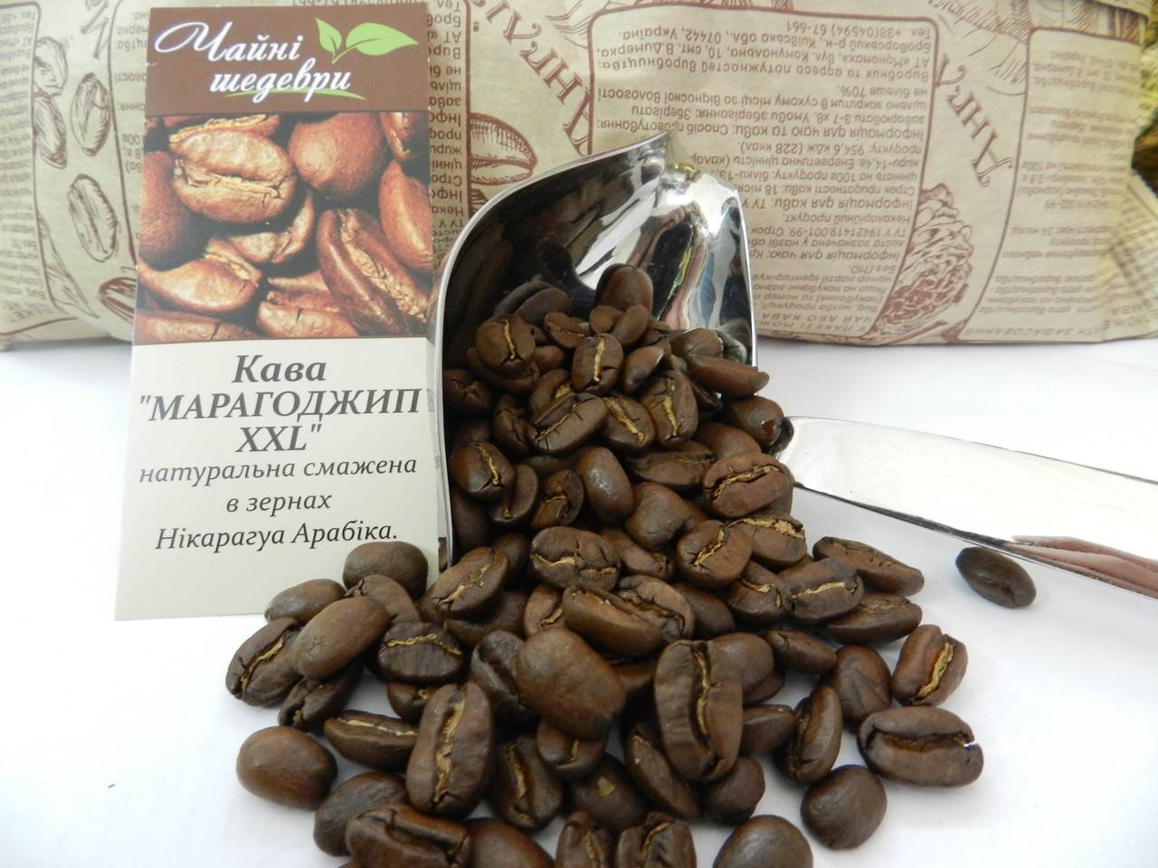 Кофе марагоджип - история создания, характеристики, сорта и отзывы