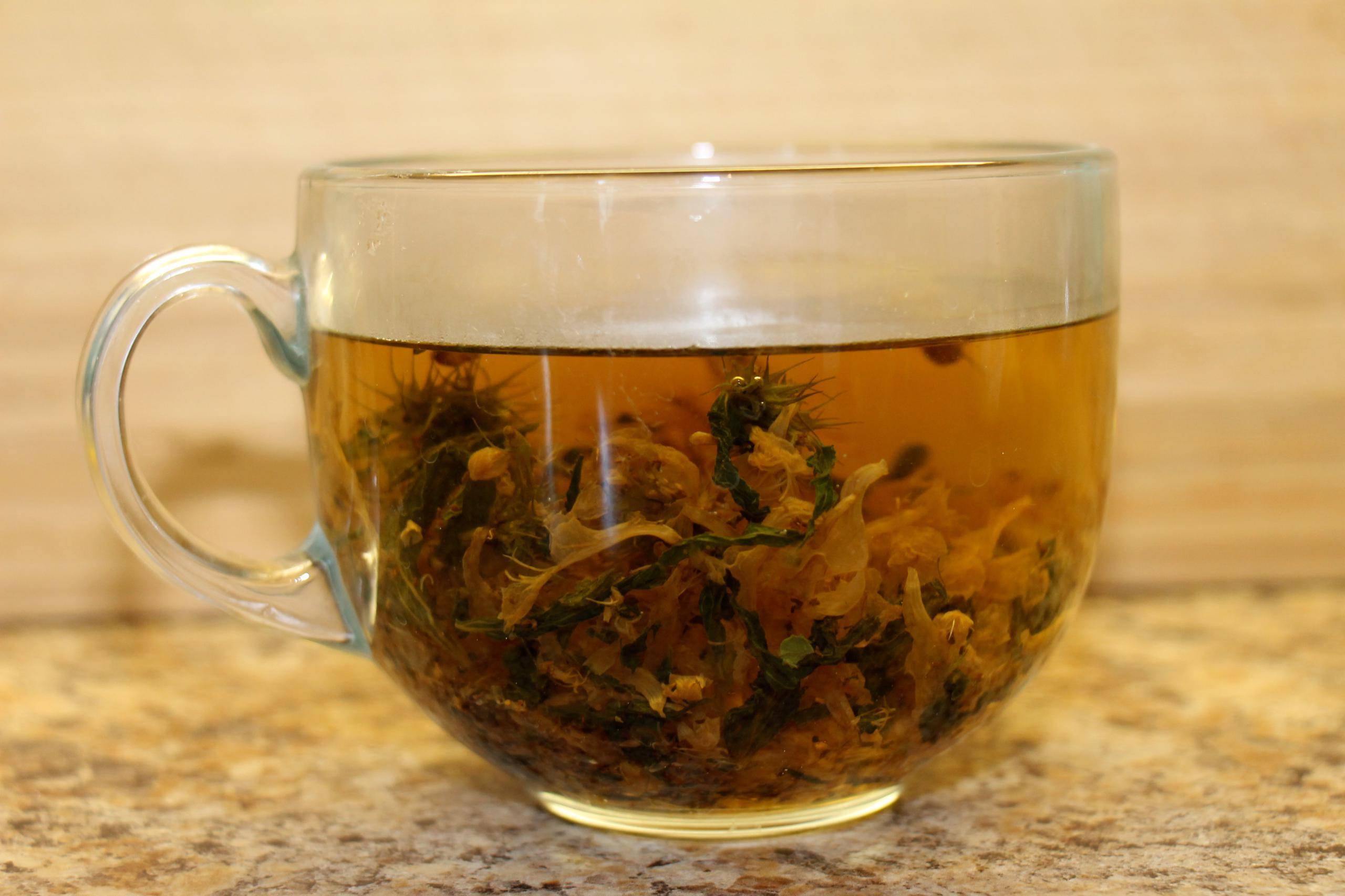 Зеленый чай с бессмертником: рецепты