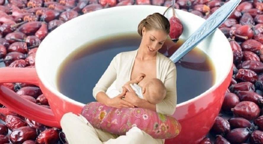 Каркаде при беременности: можно ли пить чай на ранних сроках