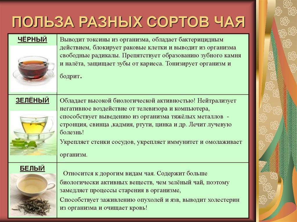 Горячий чай или теплый?-что полезнее пить | vseochaye.ru