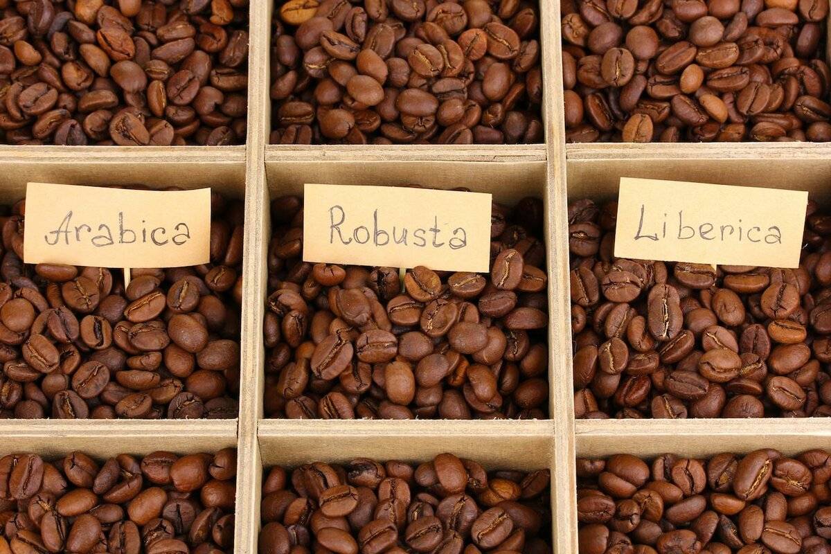 Где растет кофе, в каких странах его больше