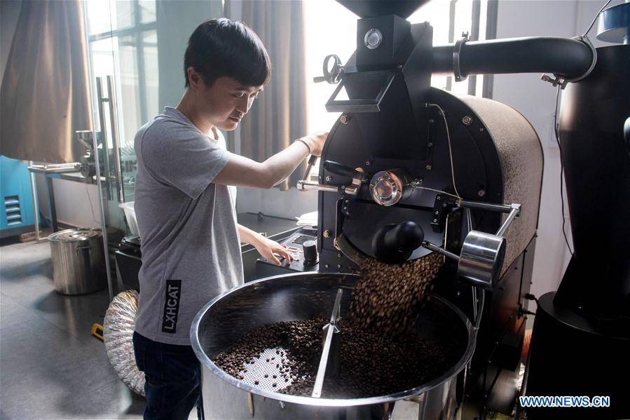 Что такое китайские кофейные бобы