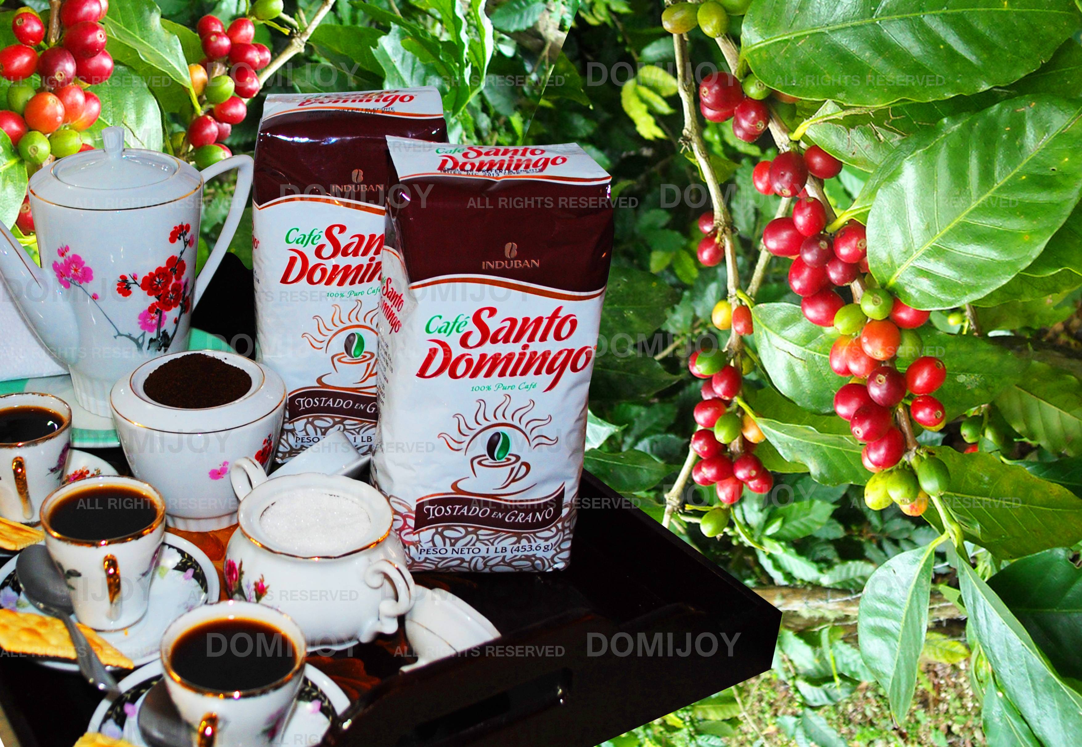 Кофе по-доминикански: глоток бодрости в стиле «баунти»