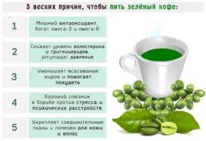 Зеленый чай лучше черного? 10 научных фактов