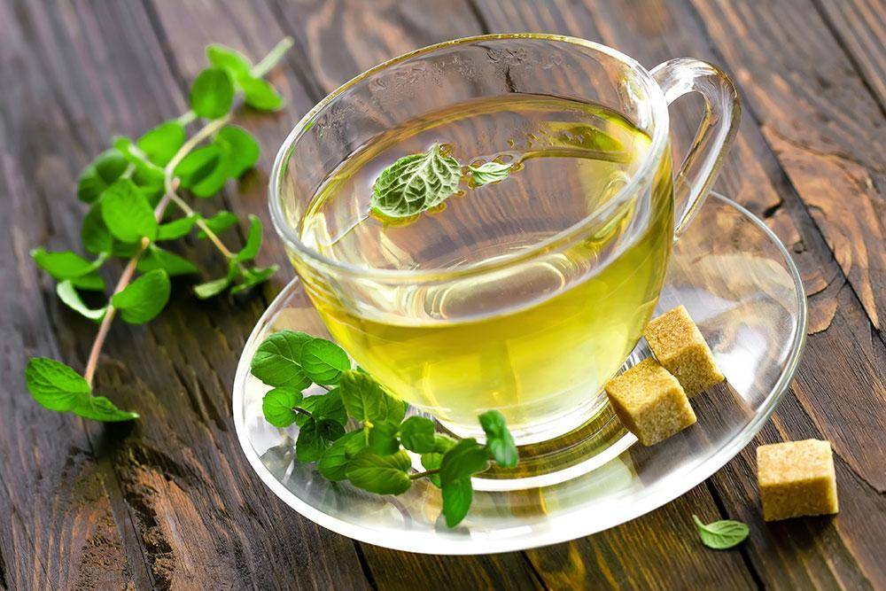 Как правильно заваривать зеленый чай сенча (+полезные свойства)