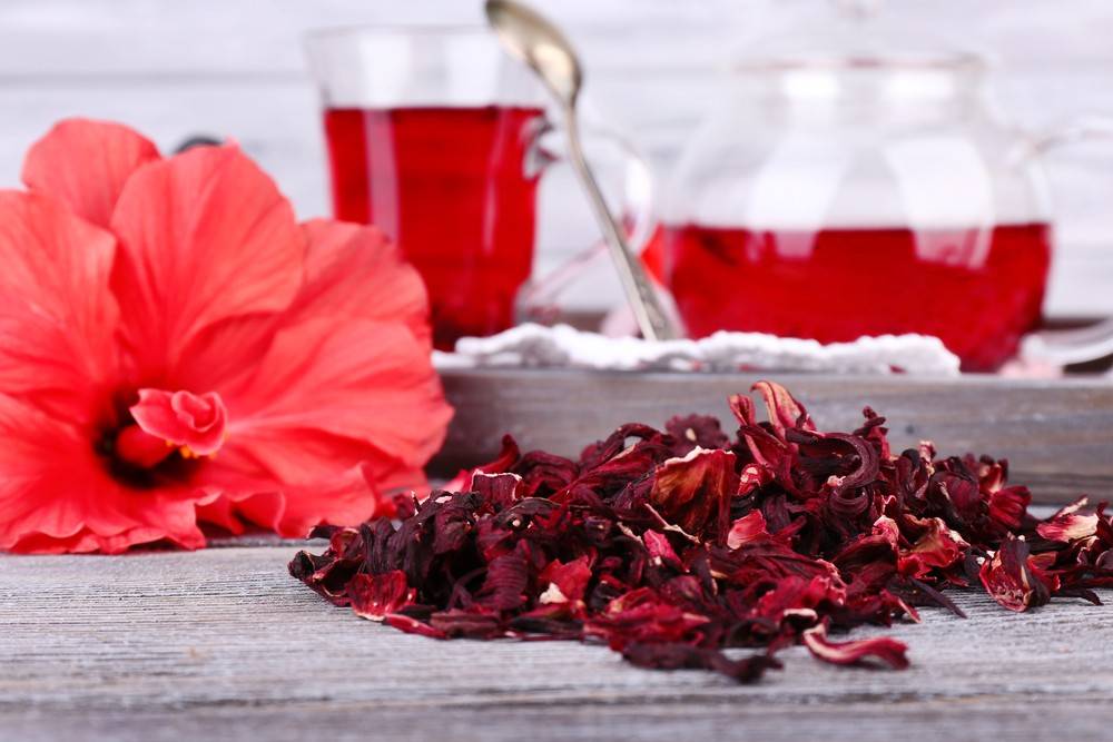 Из чего делают чай каркаде – эликсир молодости и здоровья