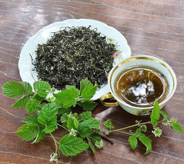 Способы заготовки листьев смородины для ароматного чая