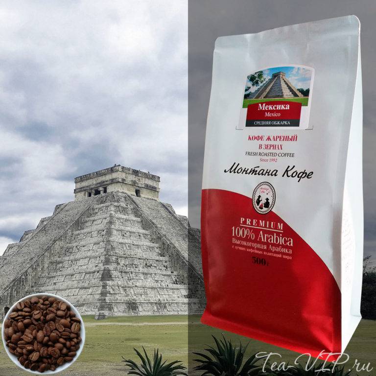 Рейтинг лучшего зернового,  растворимого и капсульного кофе для капучино