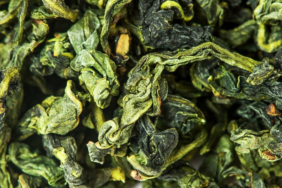 Зеленый чай молочный улун польза и вред