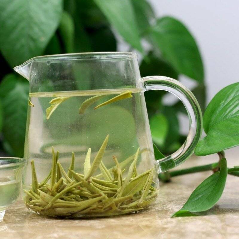 “зеленый чай — полезные свойства и рецепт правильной заварки”