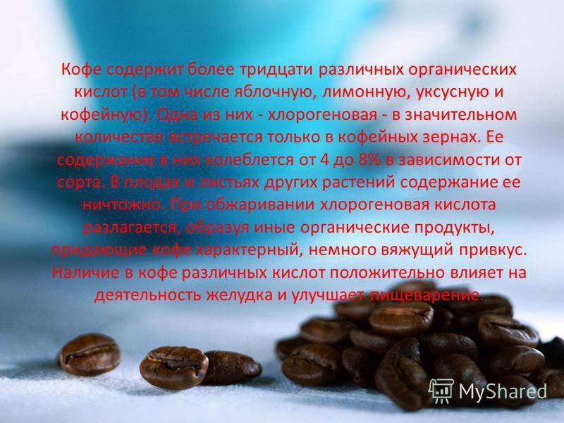 Польза и вред от кофе для организма человека