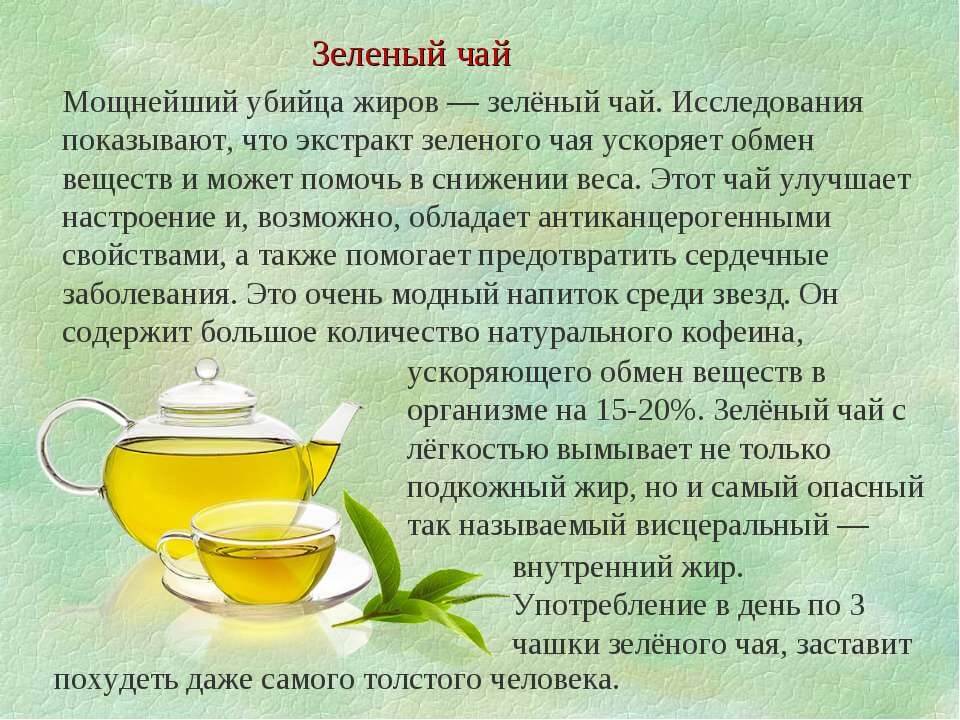 9 проблем со здоровьем, с которыми справится зелёный чай с жасмином