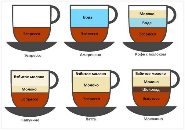 Что нужно знать о кофе капучино