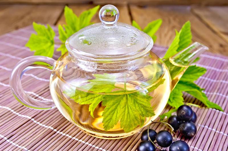 Чай из листьев смородины - польза и вред для здоровья