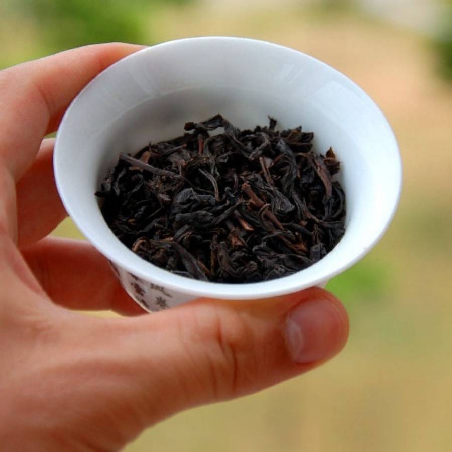 Элитный зеленый чай: продукция премиум класса, виды и сорта