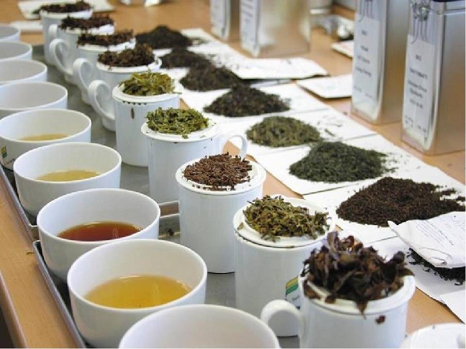 7 настоящих зеленых чаев в пакетиках