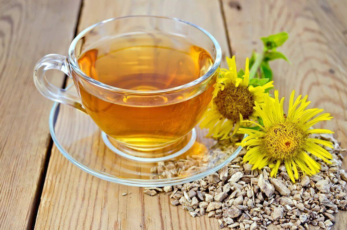 Рецепты чая из корней девясила и свойства растения