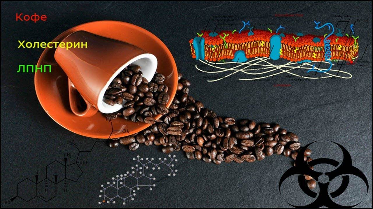 Кофе и холестерин – основные компоненты напитка и его влияние на холестерол