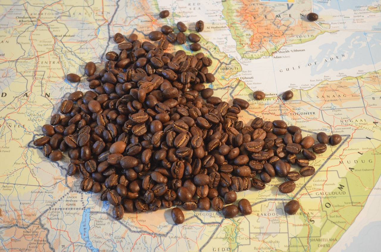 Где на самом деле растет кофе
