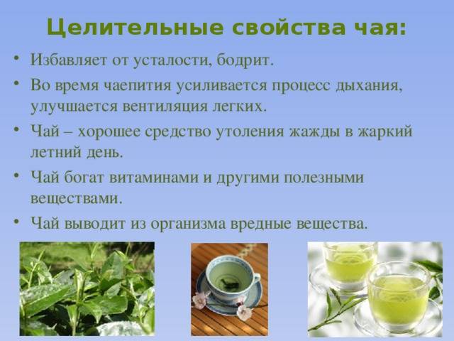 Зеленый чай, рекомендации, приготовление
