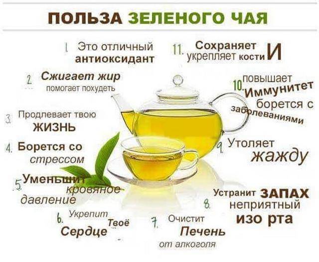 Зелёный чай повышает или понижает артериальное давление у человека, можно ли его пить при гипертонии и как влияет на пульс?