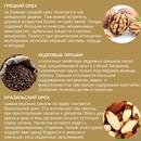 Кедровые орехи: настойка на водке и ее лечебные свойства и применение скорлупы и шишек