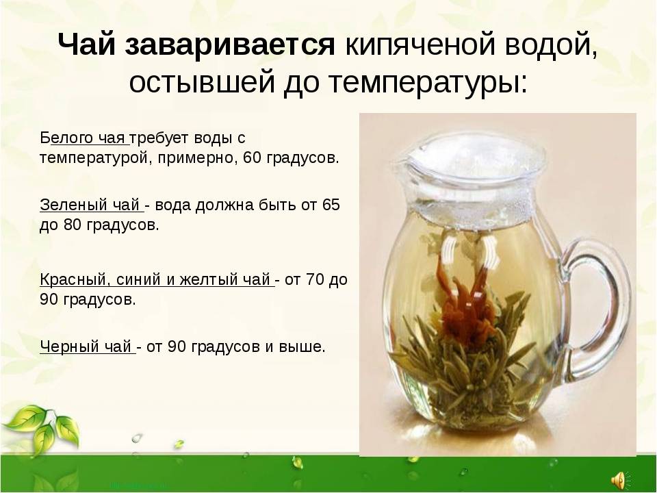 Танины в чае: содержание, польза и вред для организма