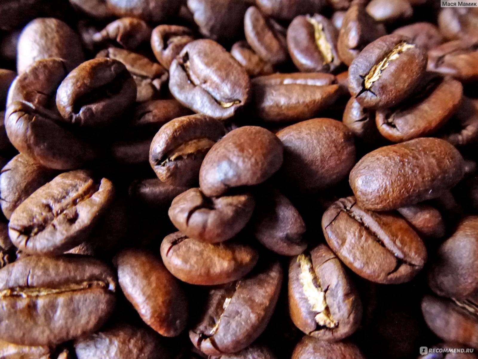 Топ-10 лучшего кофе в зернах: для кофемашины и заваривания в турке, отзывы