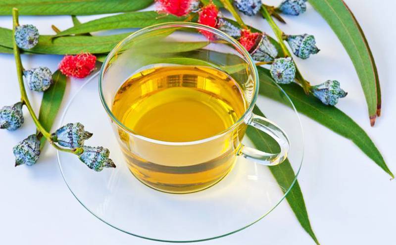 Чай из ромашки. полезные свойства и противопоказания