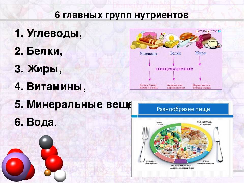 Что значит критически значимые продукты. Белки жиры углеводы Минеральные вещества. Белки жиры углеводы витамины. Пища состоит из белков жиров и углеводов. Белки жиры углеводы вода Минеральные соли витамины.