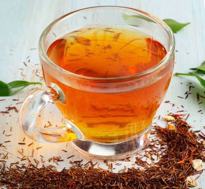 Чай ройбуш: полезные свойства и противопоказания